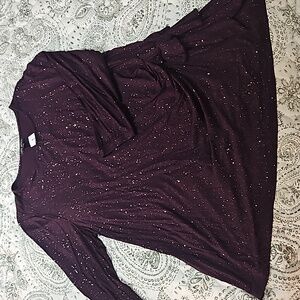 NWT Lane Bryant Sparkly Top
